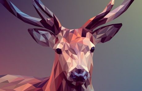 למה כדאי להזמין הדפסת תמונה על קנבס פנורמי לסלון?